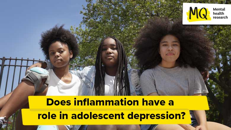 The role of inflammation and the immune system in adolescent depression |