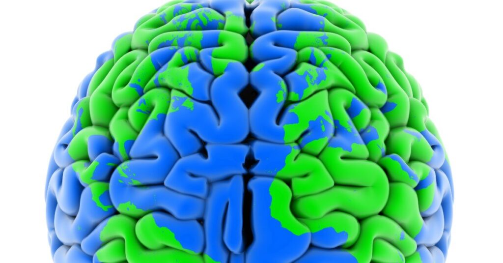 Youth With Conduct Disorder Show Widespread Differences in Brain Structure