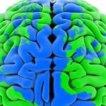 Youth With Conduct Disorder Show Widespread Differences in Brain Structure