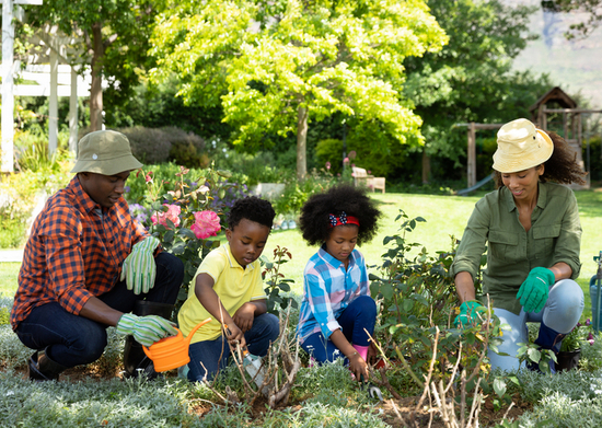 Simple gardening projects that count as exercise for kids