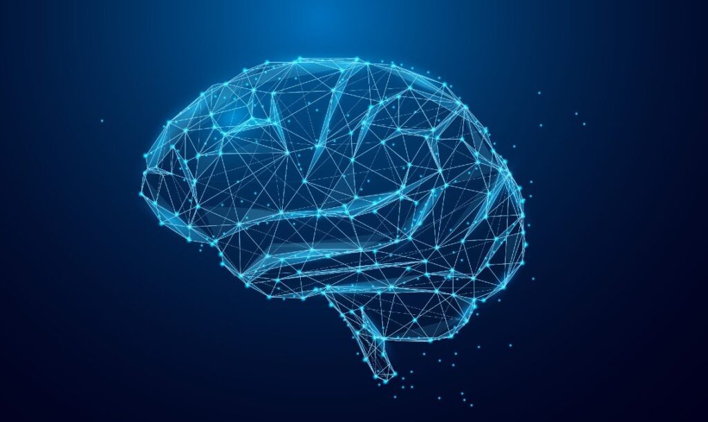 Brain Connectivity and Cognition in Early Psychosis Research