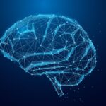 Brain Connectivity and Cognition in Early Psychosis Research