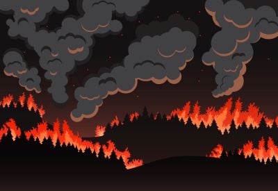 Wildfire Wave: Managing Anxiety and Depression with ADAA