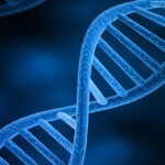 Genetic Architecture of Bipolar Disorder Revealed in Study